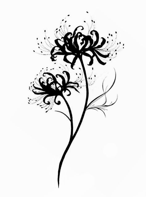 Illumi Tattoo Ideas, Black And White Spider Lily Tattoo, Alternative Flower Tattoo, Spider Lily Illustration, Spider Lily Flower Drawing, Lily Spider Tattoo, Spider Lilies Drawing, Spider Flower Drawing, Black Spider Lily Tattoo