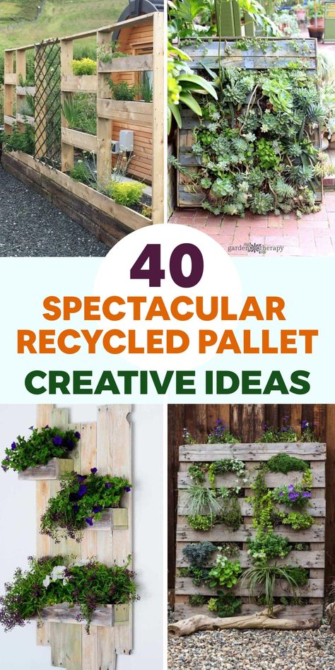 Upgrade your outdoor area with eco-friendly pallet furniture that merges chic design and sustainable practices. Design a welcoming lounge corner by transforming pallets into a snug sofa and incorporating durable cushions for all-weather comfort. Craft a striking vertical garden using pallets as stylish planters to cultivate herbs, blooms, and succulents in a space-efficient and earth-conscious manner. These repurposed pallet projects elevate your outdoor space while showcasing your passion for n Outdoor Pallet Kitchen Ideas, Pallet Living Wall, Pallet Creations Diy, Pallet Succulent Planter, Pallet Planters Ideas, Pallet Planter Wall, Pallet Projects Outdoor, Pallet Repurpose, Snug Sofa