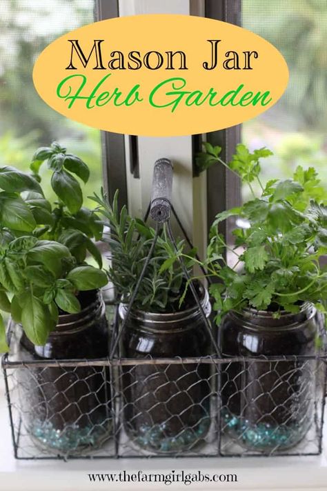 Jar Herb Garden, Mason Jar Herbs, Mason Jar Herb Garden, Diy Gardening Ideas, Growing Basil, Types Of Herbs, Mason Jar Projects, Container Gardening Ideas, Herbs Garden