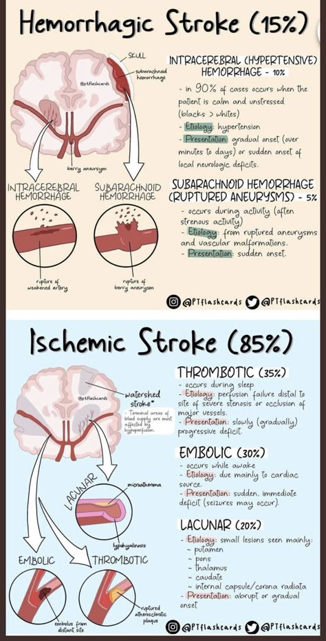 Neuro Nursing Notes, Neurology Nursing Notes, Nurse Practitioner Notes, Neuroanatomy Notes, Ischemic Strokes, Neurology Notes, Nremt Study Guide Test Prep, Neurosurgery Study, Paramedic Pathophysiology