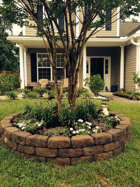 Landscaping Around Trees, نباتات منزلية, Small Front Yard Landscaping, Small Front Yard, Front Yard Design, Front Yard Ideas, Front Landscaping, Outside Ideas, Landscape Designs