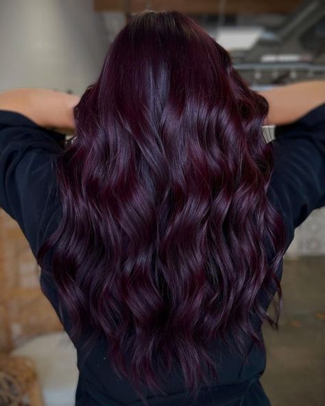 Dark Red Hair With Purple Undertones, Burgundy Violet Hair Color, Mahogany Purple Hair Color, Purple Toned Black Hair, Maroon Violet Hair, Dark Red Violet Brown Hair, Hair Color Ideas For Wavy Hair Curls, Reddish Purple Balayage, Dark Maroon Hair Color