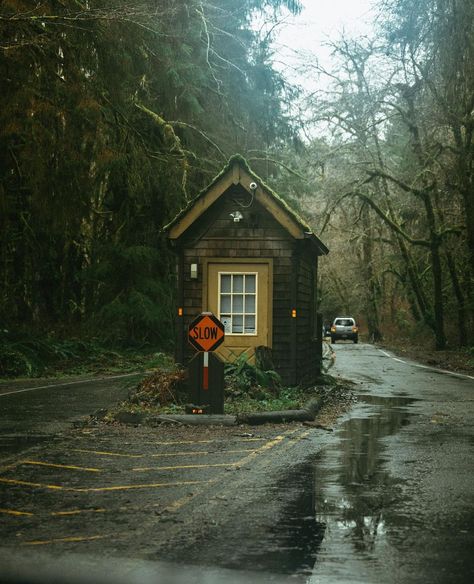 Cabin In Oregon, Enchanted Forest Oregon Theme Park, Pacific Northwest Aesthetic Home Decor, Pacific Northwest Town, Pnw House Exterior, Reservation Aesthetic, Pnw Gothic, Pacific Northwest House, Washington State Aesthetic