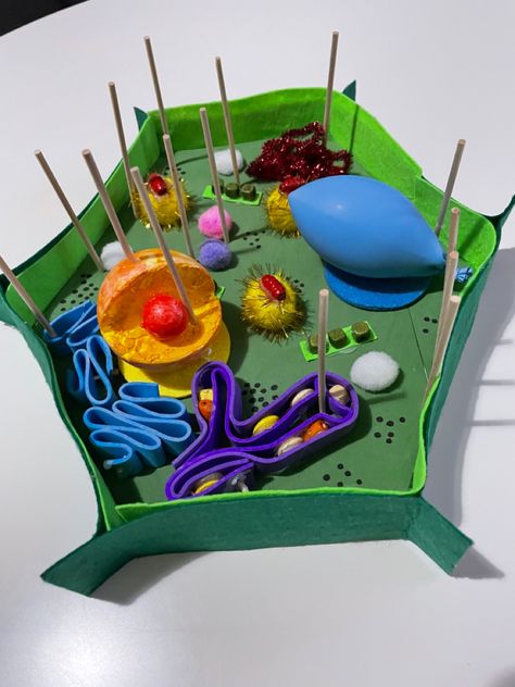 Cell Biology Project Ideas, Plant Cell Shoe Box Project, Diy Cell Model, Diy Plant Cell Model, Biology Project Ideas High Schools, Biology Ideas Projects, 3d Plant Cell Project Ideas, Plant Cell Model Project Ideas, Cell Membrane Model Projects