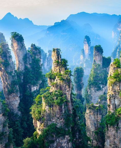 🏞️ #ZhangjiajieLandscape 🏔️ Landscape of Zhangjiajie, taken from Old House Field. Located in Wulingyuan Scenic Area, a UNESCO World Heritage Site and AAAAA scenic area in China. Would you hike through these surreal rock formations? China City, Zhangjiajie, Rock Formations, Unesco World Heritage Site, Unesco World Heritage, Heritage Site, Chinese Art, World Heritage, Old House