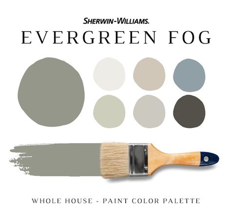 Sherwin Williams Grey, Paint Sheen Guide, Paint Pallette, Material Color Palette, Sherwin Williams Alabaster, Sherwin Williams Color Palette, Sherwin Williams White, Balanced Beige, Shoji White