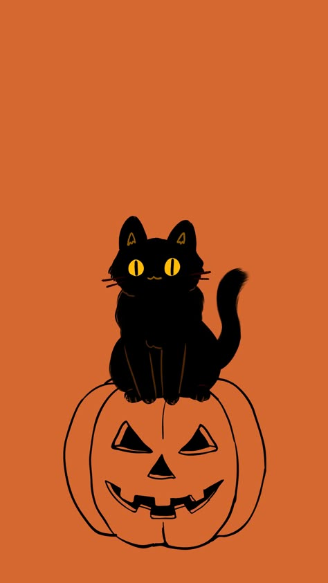 Cat Halloween Wallpaper Iphone, Halloween Animal Wallpaper, Cute Cat Fall Wallpaper, Waiting For Spooky Season, Halloween Cat Phone Wallpaper, Black Cat Wallpaper Halloween, Black Cat Fall Wallpaper, Cute Halloween Cat Wallpaper, Cute Cat Halloween Wallpaper