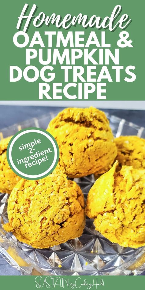 Dog Treats No Bake, Pumpkin Dog Treats Recipe, Grain Free Dog Treat Recipes, Homemade Pumpkin Dog Treats, Puppy Treats Homemade, Recipe With Oatmeal, Dog Treats Homemade Pumpkin, Healthy Dog Snacks, Cookies For Dogs