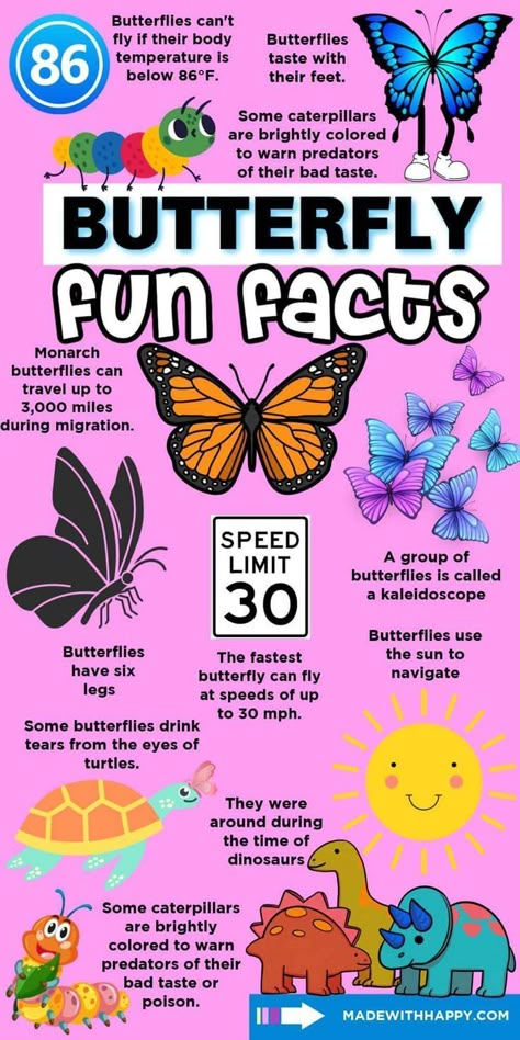 Butterfly fun facts are a great way to discover the mysterious world of butterflies. Kids will learn in a bright and exciting way with this fun fact chart. Add this to your school day and answer those pressing questions about these beautiful insects. Butterfly Habitat Project Kids, Fun Facts Animals, Butterfly Activities For Kids, Preschool List, Facts About Insects, Butterfly Facts For Kids, Facts About Butterflies, Handprint Butterfly, Butterfly Lessons