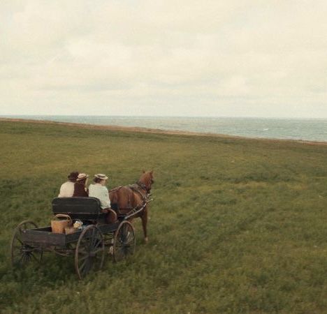 Awae Aesthetic, Anne With An E Aesthetic, Anne Shirley Cuthbert, E Aesthetic, Kindred Spirit, Anne Shirley, Kindred Spirits, Anne With An E, Anne Of Green