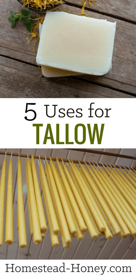 Tallow Recipe, Tallow Candles, Tallow Soap, Homesteading Diy, Beef Tallow, Homesteading Skills, Urban Homesteading, Self Sufficiency, Homemade Soap Recipes