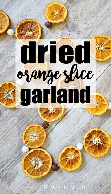 dried orange slice garland for the holidays Dried Orange Garland, Orange Ornaments, Modern Homestead, How To Make Orange, Hanging Herbs, Inexpensive Crafts, Orange Slice, Dried Oranges, Dried Orange Slices