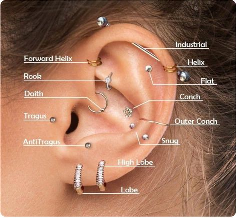 Ear Piercing Chart With Names, Names Of Ear Piercings Chart, Ear Piercing Ideas Chart Names, Earings Piercings Names, Ear Piercing Names, Top Ear Piercing, Piercings Chart, Different Ear Piercings, Unique Ear Piercings