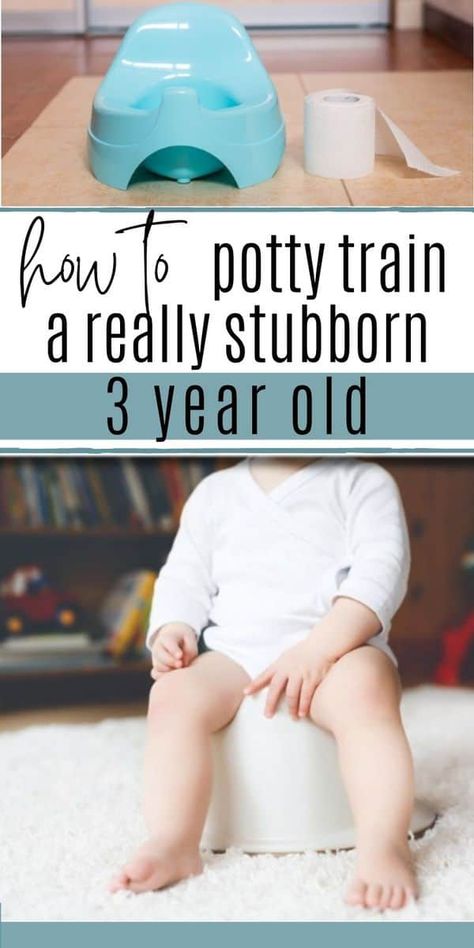 Best Potty Training Seat, Potty Training Schedule, Early Potty Training, Potty Training Methods, Potty Training Books, Boys Potty, Best Potty, How To Potty Train, Potty Training Girls