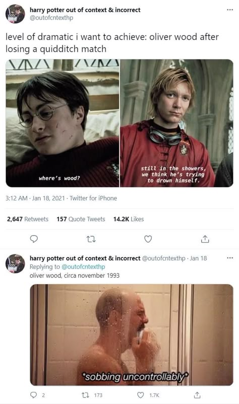 Harry Potter Humor, Citate Harry Potter, Glume Harry Potter, Funny Harry Potter Jokes, Oliver Wood, Harry Potter Puns, Harry Potter Feels, Images Harry Potter, Yer A Wizard Harry