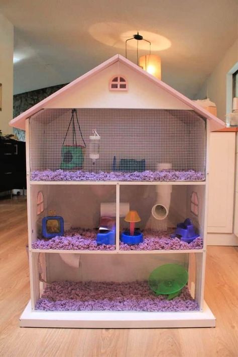 20 Homemade DIY Guinea Pig Cage Ideas To Build Your Own Kandang Hamster, Hamster Diy Cage, Chinchilla Care, Hedgehog Cage, Gerbil Cages, Diy Guinea Pig Cage, Hamster Ideas, Guinea Pig Ideas, Dollhouse Bookcase