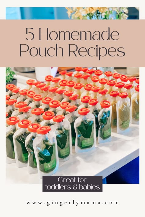 5 Simple Homemade Pouch Recipes for toddlers and babies. These homemade pouches are nutrient dense and simple enough for anyone to make! Diy Pouch Recipes, Homemade Baby Food Pouches, Homemade Food Pouches, Homemade Snack Pouch Recipes, Diy Baby Yogurt Melts, Snack Pouches Diy, Infantino Squeeze Station Recipes, Pouch Food Recipes, Homemade Gogo Squeeze