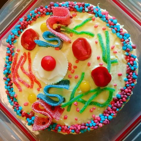 Candy Animal Cell Model, Candy Cell Model, Edible Animal Cell, Cell Project Ideas, Anatomy Projects, Edible Cell Project, Cell Cake, Animal Cell Model, Edible Cell