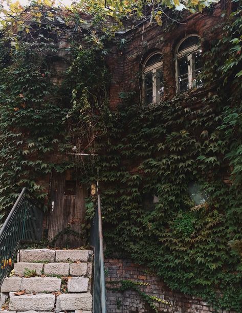 Ivy House Aesthetic, Ivy Building Aesthetic, Buildings Covered In Plants, Ivy Plant Aesthetic, Jacobean Aesthetic, Dark Forest Academia, Old Garden Aesthetic, Abandoned Buildings Aesthetic, Ivy Covered House