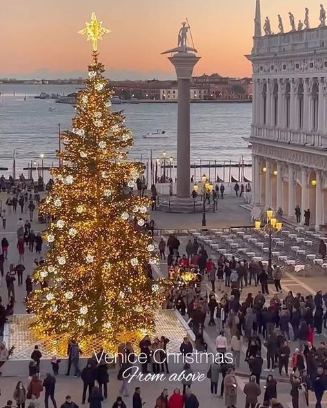 Venice 🇮🇹 Venezia Travel | Hotels | Food | Tips on Instagram: "In the heart of Venice, Christmas unfolds like a fairytale!!🌟🇮🇹🎅🏻 🏷️Tag someone who wants to visit Italy soon!❤️‍🔥 🎥: @claudia_mimejorvenecia (TT) 📍: Venice, Italy." Venice Christmas Market, Venice Christmas, Birthday Travel Ideas, Christmas In Venice, Italy Holiday Destinations, Italy In November, Venice Italy Photography, Winter In Europe, Christmas In Italy