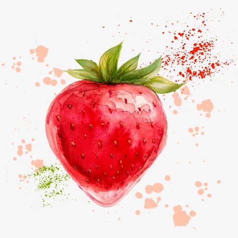 Watercolour Food, Strawberry Clipart, Strawberry Watercolor, Watercolor Food Illustration, Natural History Illustration, History Illustration, Strawberry Art, Cherry Baby, Watercolor Food