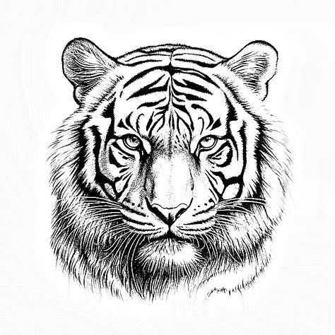 Tiger Head Tattoo Design, Back Of Head Tattoo, Tiger Outline, Tiger Stencil, Tiger Face Tattoo, Tiger Head Tattoo, Animal Stencils, Tiger Sketch, Animal Tattoo Designs