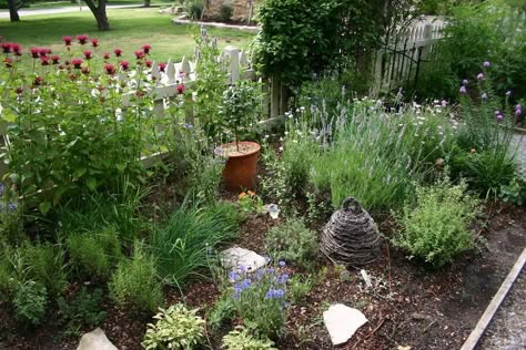 Colonial Garden, Outdoor Herb Garden, Herb Garden Ideas, Edible Landscape, Herb Garden Design, Garden Herbs, Potager Garden, Herb Gardens, Herb Gardening