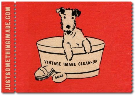 Wire Fox Terriers, 동화 삽화, Retro Dog, 강아지 그림, Wire Fox Terrier, Fox Terriers, Creative Lifestyle, Fox Terrier, Dog Images