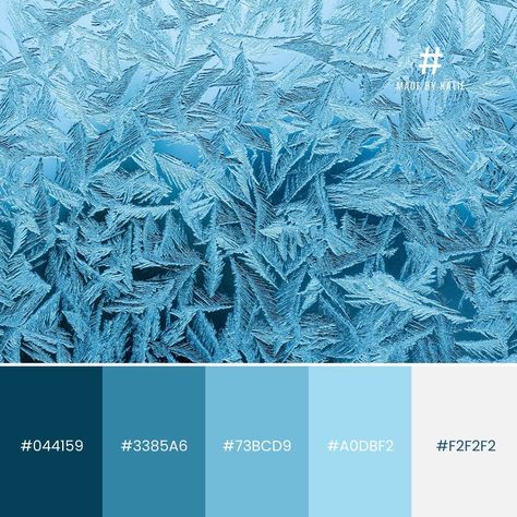 Brrr… looks like Elsa has been covering everything in frost❄️✨ Which frosty colour palette is your fave? Drop a ❄️ below! #wintercolours #colourinspo #branddesign #WebDesignTips #colourpalette Snow Colour Palette, Frosty Color Palette, Elsa Color Palette, Icy Color Palette, Flat Color Palette, Drawing Desk, Winter Color Palette, Grey Color Palette, Monochrome Color