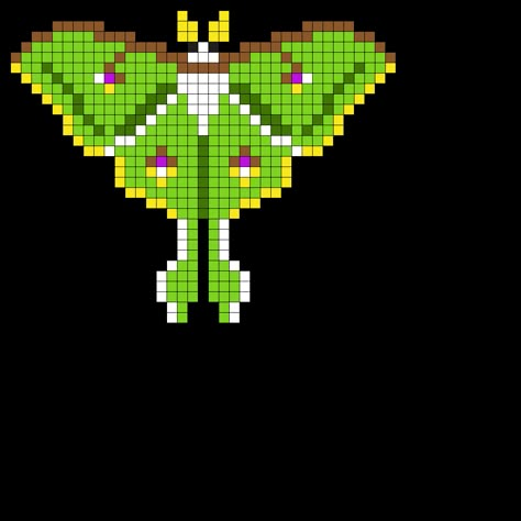 Detailed Perler Bead Patterns, Cottagecore Perler Bead Patterns, Perler Bead Patterns 29x29, Perler Bead Templates Easy, Beads Animals Patterns, Fuse Bead Patterns Cute, Fuse Bead Art, Fuse Bead Patterns Easy, Luna Moth Perler Bead Pattern