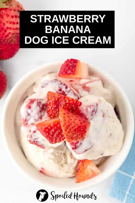 Doggie Ice Cream, Ice Cream For Dogs, Dog Ice Cream Recipe, Puppy Ice Cream, Yogurt Homemade, Frosty Paws, Easy Dog Treat Recipes, Frozen Dog Treats, Dog Ice Cream