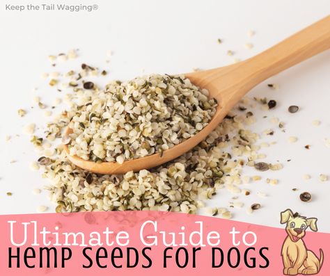 Hemp Dog Treats, Dog Safe Vegetables, Hemp Seed Benefits, Hemp Seed Recipes, Raw Feeding For Dogs, Cook Dog Food, Raw Dog Food Diet, Seeds Benefits, Frozen Dog Treats