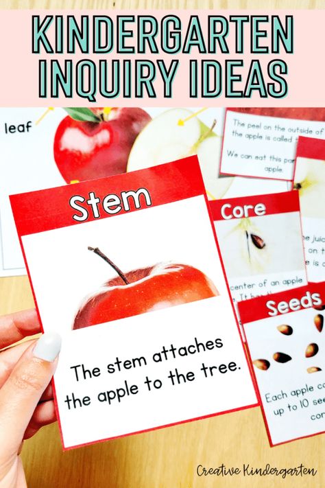 For years, I have been trying to find a way to quickly set up meaningful provocations for my students. I want them to be interesting but also provide valuable learning opportunities. I came up with these kindergarten inquiry ideas with Labelling and Provocation Cards to fill that need. Apple Inquiry Kindergarten, Inquiry Kindergarten, Kindergarten Inquiry, Ideas For Kindergarten, Apple Stem, Kindergarten Books, Kindergarten Centers, Pumpkin Apple, Apple Seeds