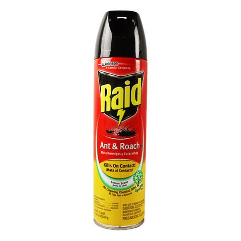 FREE Raid Ant & Roach Spray at Target + $2.17 MONEY MAKER! Roach Killer, Kill Bugs, The Raid, Insect Netting, Garden Pest Control, Bug Spray, Flying Insects, Hiding Places, Cute Decor