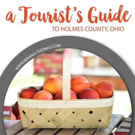 Briana Thomas, Amish Country Ohio, Holmes County Ohio, Amish Style, Things To Do In Ohio, Food Discount, Ohio Travel, Wayne County, Fabric Stores