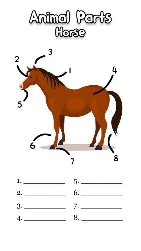 Horse Body Parts Worksheet Equine Assisted Learning Activities, Horse Body Parts, Horse Riding Games, Body Parts Worksheet, Horse Camp Ideas, Body Parts For Kids, Saddle Club, Horse Lessons, Horse Profile