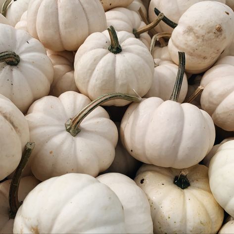 White Pumpkin Halloween Decor, White Pumpkin Aesthetic, White Pumpkins Aesthetic, Autumnal Picnic, White Halloween Aesthetic, White Fall Aesthetic, Tis Autumn, White Pumpkin Decor, Fall Moodboard