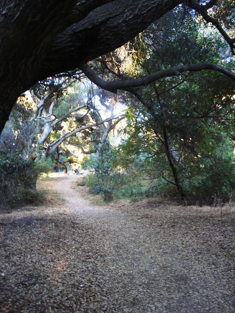 Thousand Oaks - Los Robles Trail - Photo by Tanya J. Thousand Oaks, Take A Hike, Country Roads, Hiking, California, Road