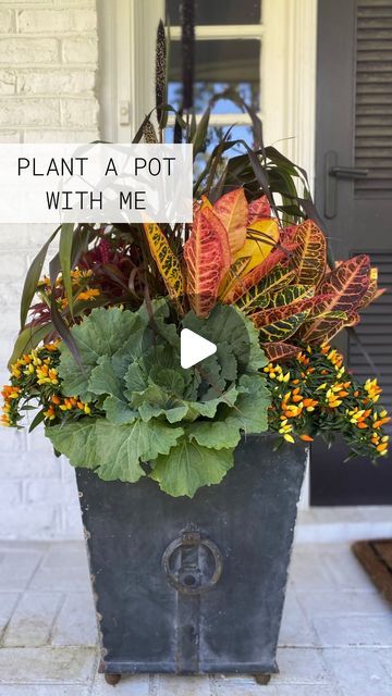 Fall Planters With Cabbage, Croton Planter Ideas, Croton Arrangement, Fall Container Ideas, Fall Flower Pots Front Porches, Fall Outdoor Planter Ideas, Autumn Planters, Fall Potted Plants, Fall Planter Ideas