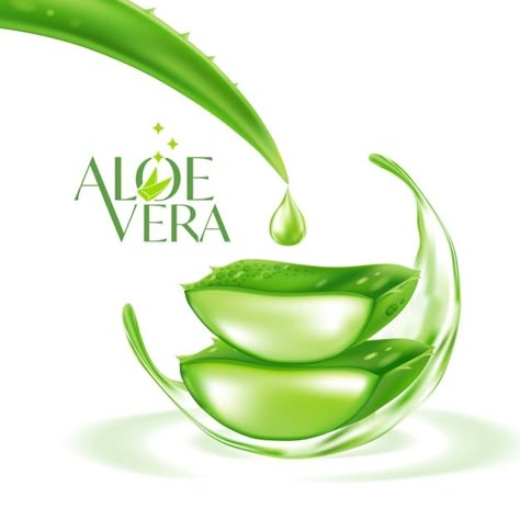 Aloe vera realistic plant skincare cosme... | Premium Vector #Freepik #vector #illustrations #aloe-vera #skin-care #realistic Aloe Vera Logo Design, Alovera For Skin, Plant Skincare, Aloe Vera Image, Rose Outline Tattoo, Aloe Vera Serum, Skin Care Design, Bun For Short Hair, Sewing Logo Design