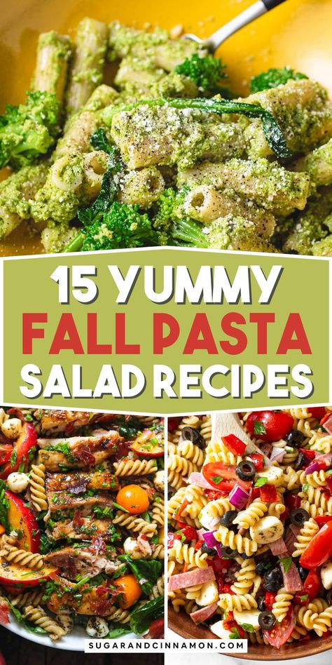 Fall Pasta Salad Recipes Thanksgiving Pasta Salad, Fall Pasta Salad Recipes, Thanksgiving Pasta, Fall Pasta Salad, Cold Chicken Pasta Salad, Cold Pasta Recipes, Warm Pasta Salad, Lemon Pasta Salads, Creamy Pasta Salad Recipe