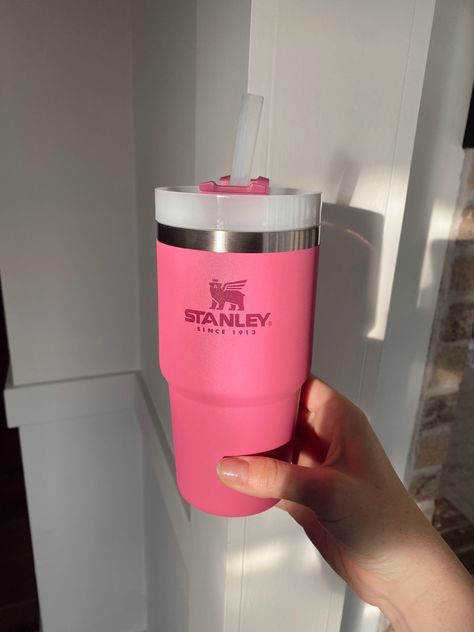 Mini Stanley Cup Pink, Mini Pink Stanley, Small Stanley Cup, Water Bottle Stanley, Stanley Cup Mini, Mini Stanley Cup, Small Stanley, Mini Stanley, Stanley Adventure Quencher