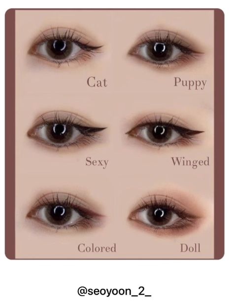 Animal Face Shapes Korean, Cat Face Type Korean, Puppy Face Type Makeup, Cat Pretty Face Makeup, Dog Face Type Makeup, Cat Eye For Round Eyes, Cat Face Type Makeup, Dog Pretty Face Type Makeup, Animal Pretty Face Types