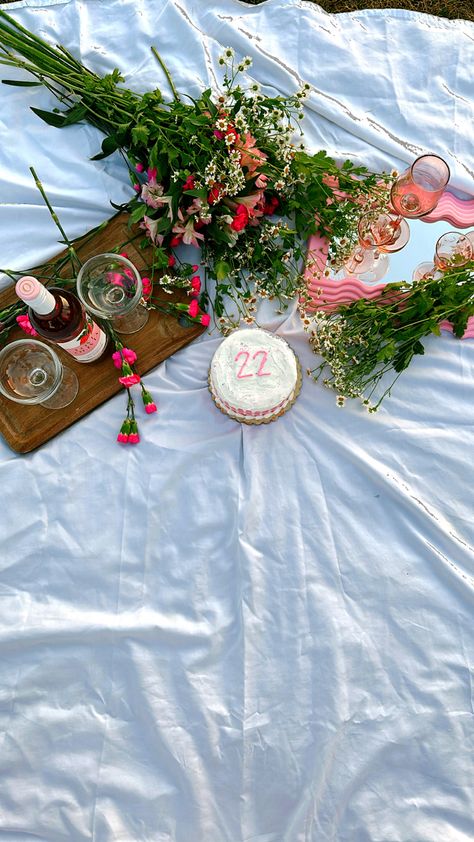 Picnic Birthday Shoot, Birthday Party Ideas Photoshoot, Outdoor Birthday Photoshoot Women Summer, Bday Picnic Photoshoot, Birthday Shoots Outside, Birthday Photo Ideas Outdoor, Outdoor Photoshoot Ideas Birthday, Birthday Photo Outdoor, Cute Picnic Birthday Ideas