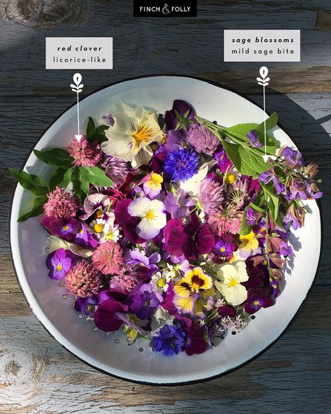 Finch + Folly — Edible Flowers: What they Taste Like & How to Use Edible Flowers Salad, Tea Party Decorations Diy, Dried Edible Flowers, Eatable Flowers, Flowers Recipes, Flower Recipe, Flower Recipes, Chive Blossom, Potion Making