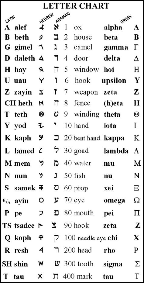 Paleo Hebrew Alphabet, Ancient Hebrew Alphabet, Learn Hebrew Alphabet, Hebrew Language Learning, Hebrew Language Words, Hebrew Vocabulary, Hebrew Writing, Ancient Alphabets, Hebrew Lessons