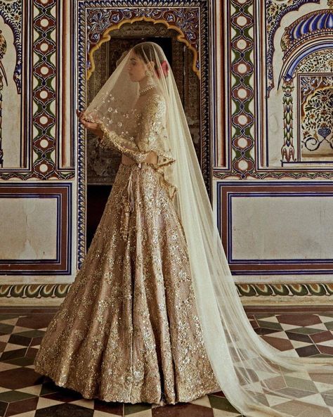 Presenting the Champagne Gold Embroidered Lehenga Set is a masterpiece of luxurious design. Ideal for a bride or bride-to-be, this lehenga offers the perfect blend of tradition and regality. Find it on Fabilicious 🌟 WhatsApp us on +91 99992 89222 for any queries 🌟Made to Measure 🌟Personal service with VC for measurements 🌟 Trusted Brand #indianwedding #indiandesigner #weddingcollection #new #newcollection #indianwedding #sangeet #saree #print #printed #sangeetlehenga #ethnicwear #han... Golden Lehnga Bride, Wedding Lengha Bridal Lehenga, Gold Lehenga Bridal, Indian Wedding Reception Outfits, Head Veil, Gold Veil, Net Lehenga Choli, Gold Lehenga, Bridal Lehenga Red