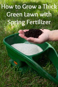 A thick green lawn requires proper care and the right nutrients at the right time during the growing season. Get your lawn off to a great start this spring by watching this video and learning the tips and techniques of spring fertilizing that will ensure a season of lush, green grass. Reseeding Lawn, Spring Lawn Care, Lawn Fertilizer, Aerate Lawn, Diy Lawn, Lawn Care Tips, Lush Lawn, Healthy Lawn, Grasses Garden