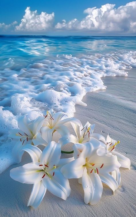 Prompt 👉Bouquet of white lilies lying on white sand washed by foamy turquoise surf wave, fantastic, photorealistic picture, tumblr, breathtaking beautiful white beach, detailed lily flowers, wonderful reflection of the sky, close-up!!!!!! Fantastic beautiful wallpaper on iPhone]r 👉 if Like, please Follow and Share AI Graphics Studio 👇Contact on WhatsAPP: http://tiny.cc/aigraphicsstudio #aigraphicsstudio #AI #DigitalMarketing #digitalartist #digitalart #digital #creativephotography #designin... Best Pictures For Wallpaper, Beach Flowers Wallpaper, Cute Pictures For Wallpapers, Beach Flower Wallpaper, Pics Of The Ocean, Ocean With Flowers, Cute Whatsapp Wallpaper, Followers Wallpaper, Lily Flowers Wallpaper