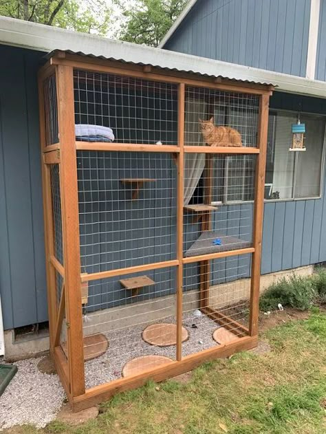 26 Best DIY Catio Ideas | Balcony Garden Web Modern Outdoor House, Cat House Design, Diy Cat House, Aesthetic Pets, Cat House Ideas, Diy Cat Enclosure, Catio Ideas, Katt Grejer, Cat Fence